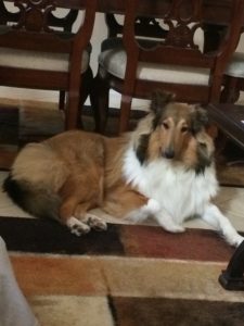 loki110716