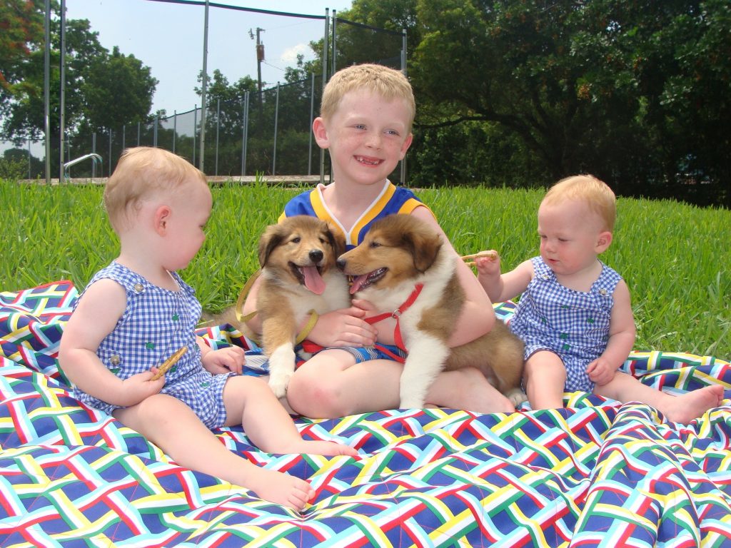 Kids with Collie Puppies